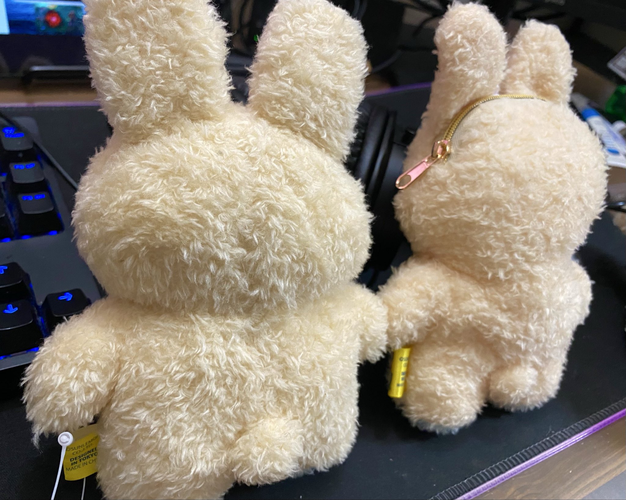 うさ子☆ 2点 23ETOmmk-Wh-FIN1_S.jpg