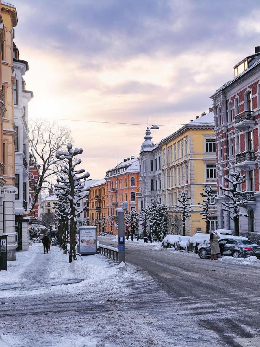 MozartCultures's tweet photo. winter in oslo, norway https://t.co/XT4jNyM9me