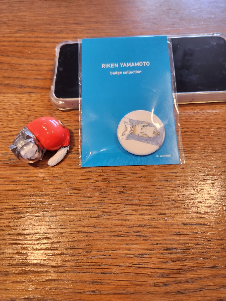 かお(﹡ˆ﹀ˆ﹡)✩.*˚ページ 可愛すぎるイラスト描いていただきました💕 . . このイラストで