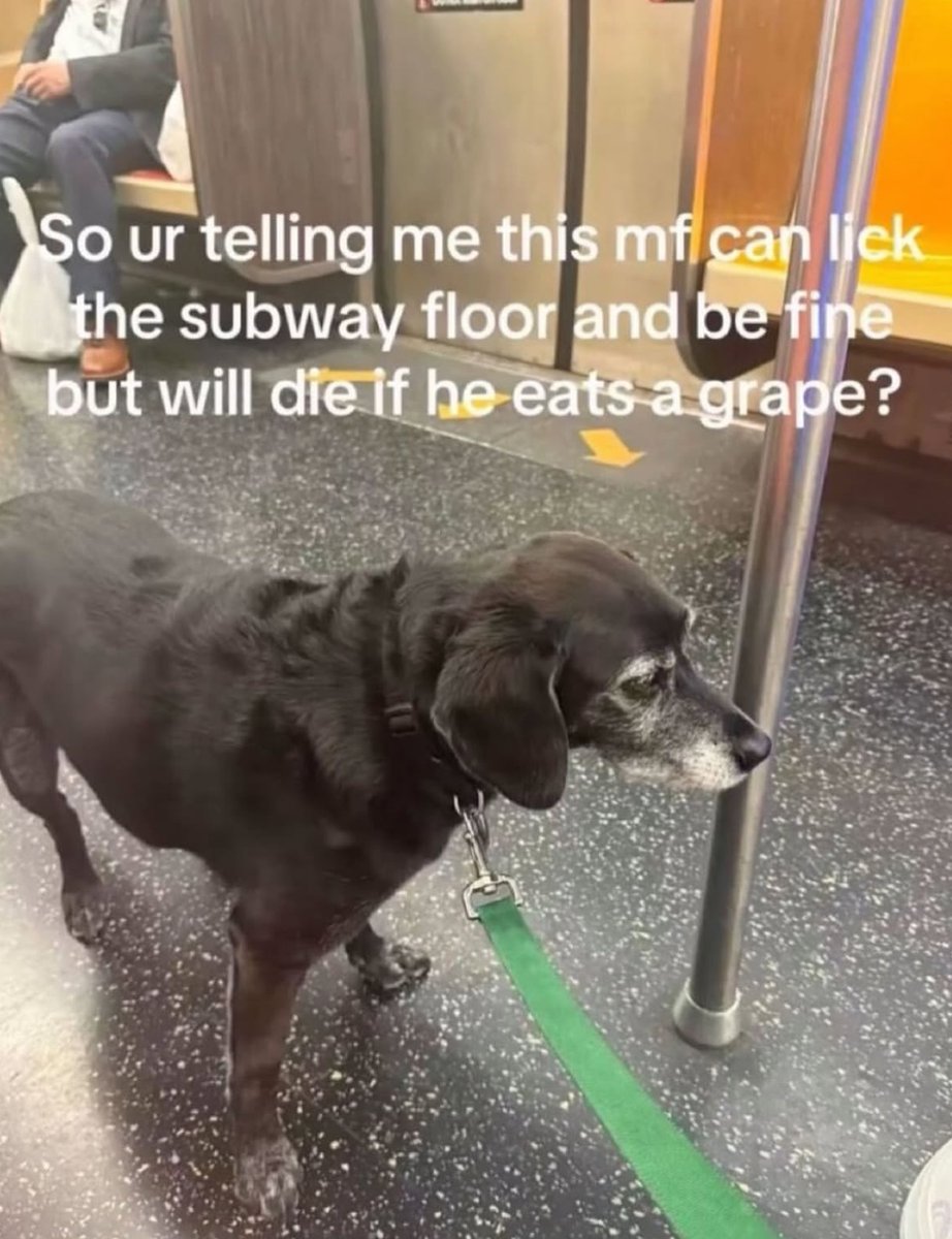 RespectfulMemes's tweet photo. https://t.co/oaOgMZUcsX