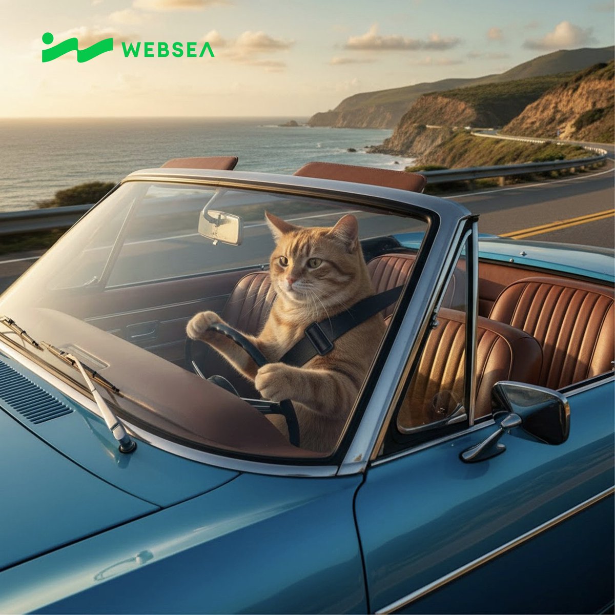 Websea_CN's tweet photo. gm哈基米

合约交易��得打开保险，就像驾驶需要系好安全带🫡

#Websea https://t.co/HB3y8wenwQ