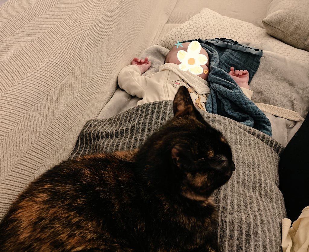 Camila the cat is scared of people since a litle baby (She was crying alone in the street when we got her). This is the second time Im with my baby girl and Camila comes really slowly and has the courage to sleep Next to my baby girl. This is Magic to me 💙
#Cat #CatsLover #LOVE