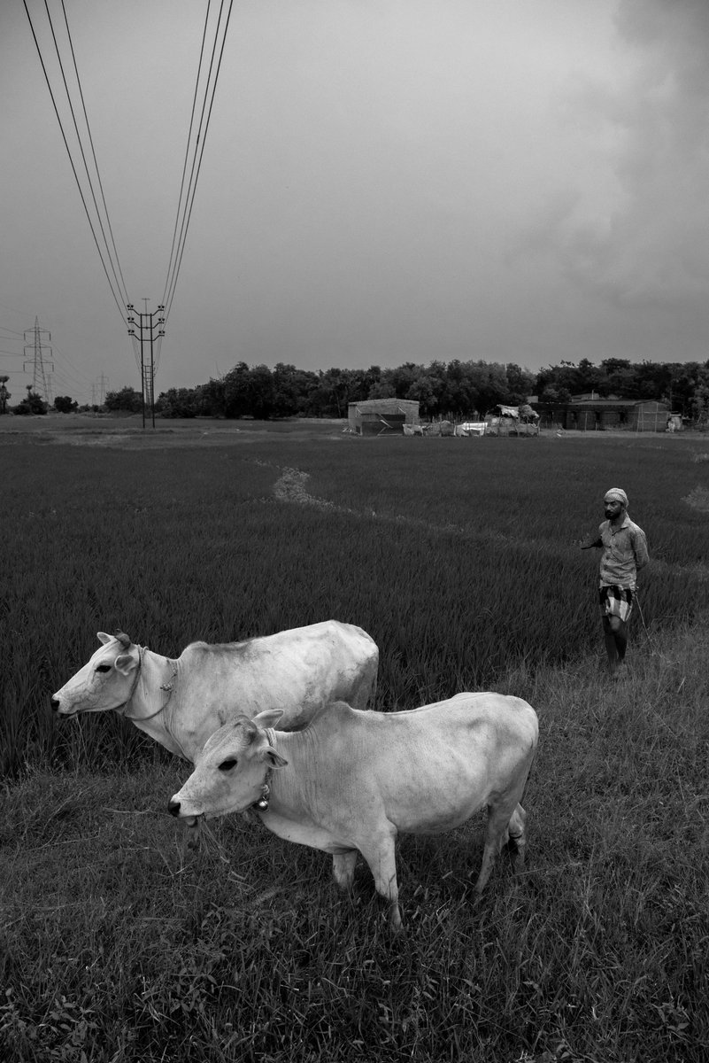 nikamma_studio's tweet photo. @shurivich GM! Mobile photos from my village.

1. Waiting for Rain - 1/1 50 XTZ on @objktcom
https://t.co/rme6qKTlEK 

2. The Weight of Silence - 1/1 at 80 XTZ on @tz1zeroteminal
https://t.co/gGIFPEcNtP https://t.co/3RjcdBcKZc