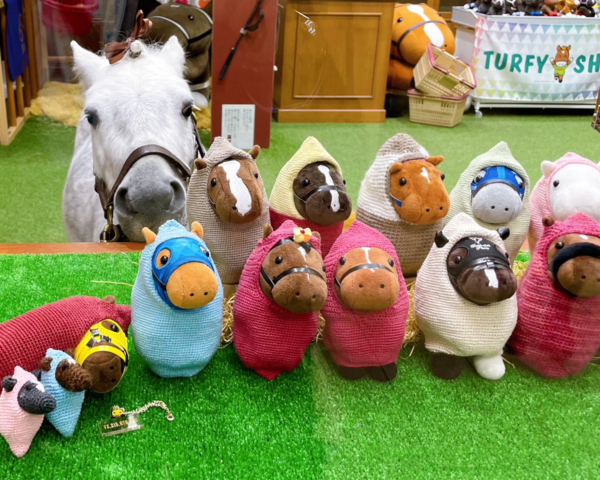 🍠ダイフクのお散歩🍠 ミニチュアホースのダイフクが、ターフィー