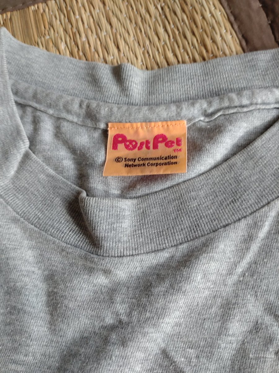 今日のTシャツ。
そういえば自宅サーバにポスペ用アカウント作ってたなぁ。久しぶりに起動してみようかな。メール来てたりして（ないない）