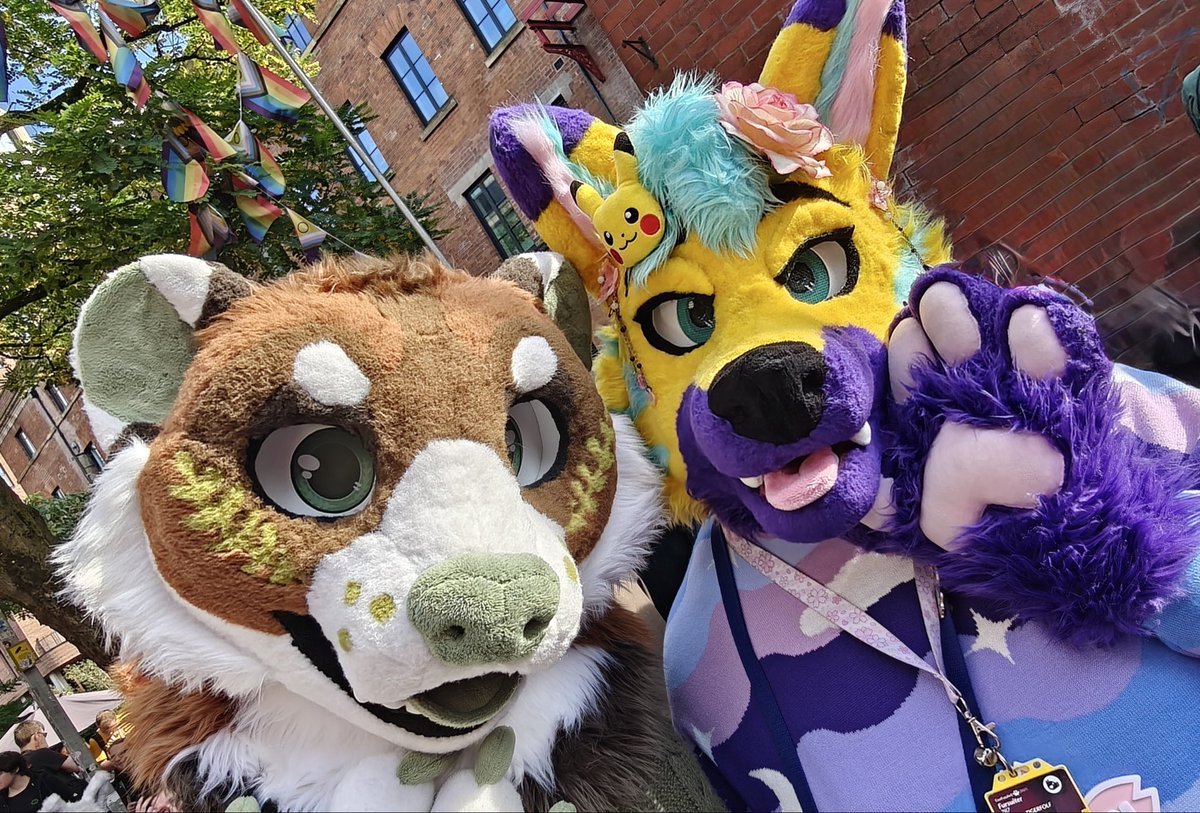 Had an absolutely amazing time at MancFurs the other day! Was a fun meet as per usual! Plus I saw this jumper in Manchester and loved it so much I bought it straight away and wore it to the meet 😅💜💛

📸: <a href="/Cliff_747/">Cliff 💙🧡 🔜 Scotiacon</a> 
🪡: <a href="/HouseOfCardsFur/">♠️ House Of Cards Fursuits ♠️</a>