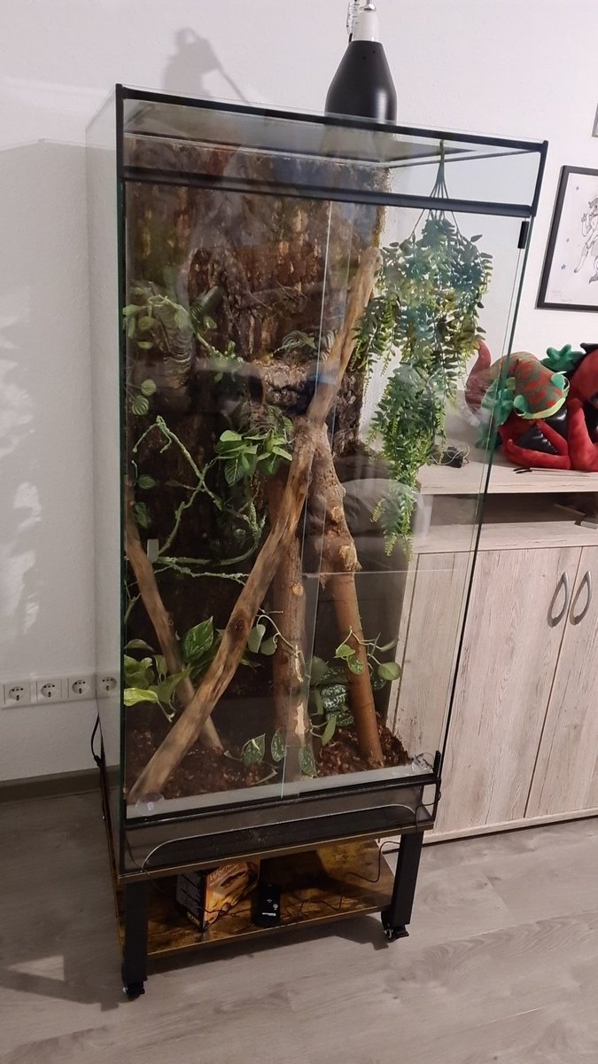 Vito di Salvo 🐉💙💚🦎 tweet media