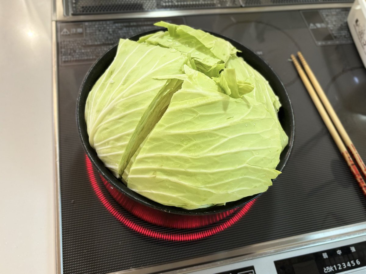 なんかもう暇すぎて、キャベツ丸ごと煮るという平野レミさんみたいな事始めた。しかも鍋におさまってない