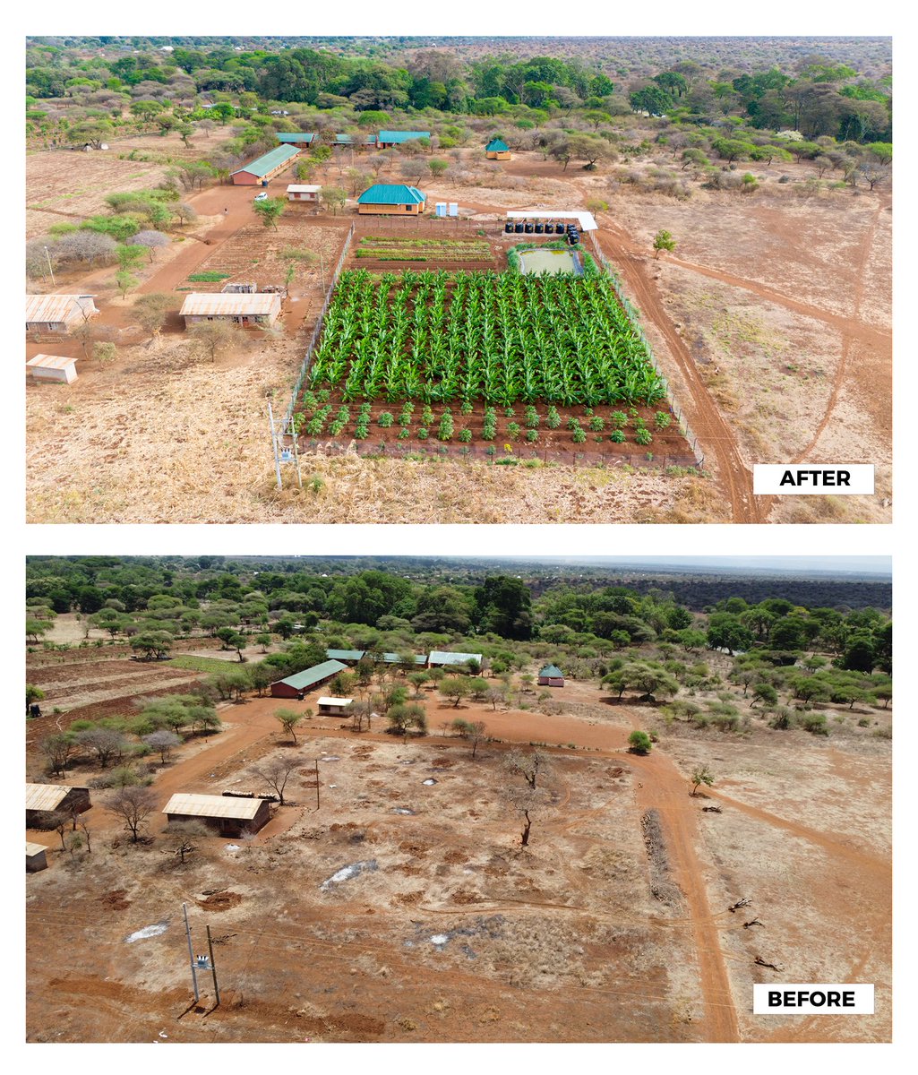 ndotoinaction's tweet image. What was once an open space is now a source of food, learning and pride for every student at Oldenderet Primary School🫴.
#feedingprogram #ndotoinaction