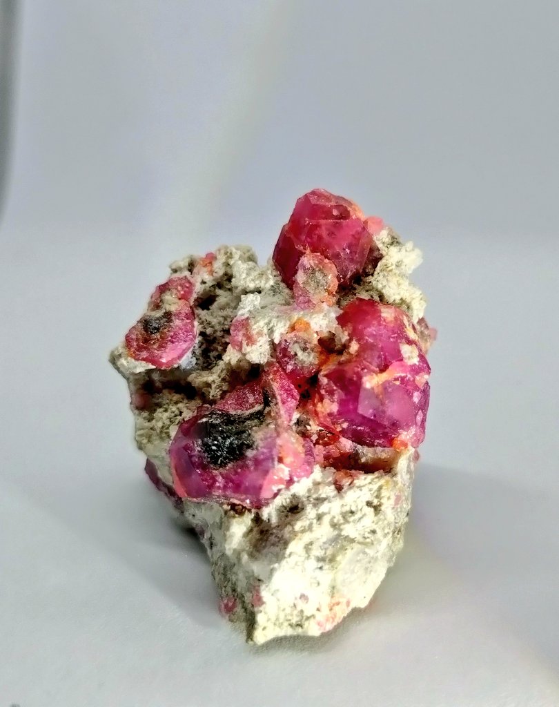 樹(石初級) (@nYxJ2aNXiikgL3e) / Posts / X