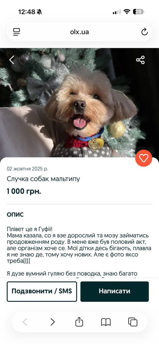 гірка як полинь🥀 tweet media