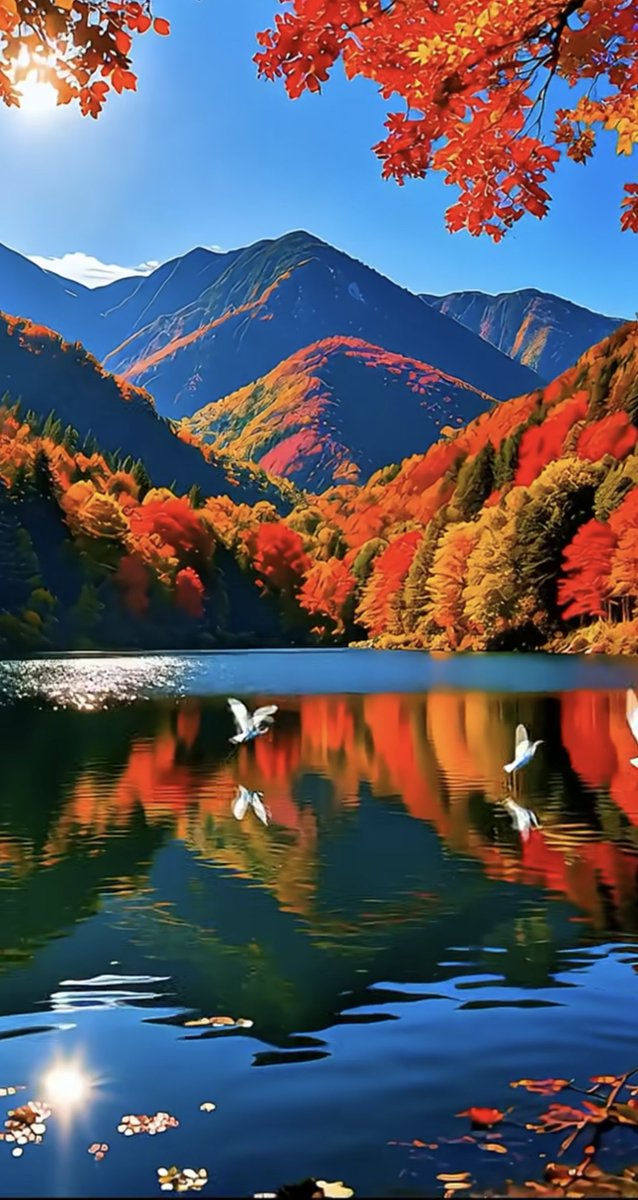 Happy🥰new🍃week🍂to all🍁