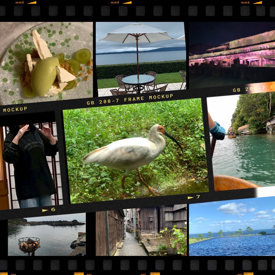 先週 #ダメロンT お供に旅行
胸元の文字に気づいた人から
どこの国で買ったか聞かれて
#藤井風のグッズ だと言った途端

最近英語で沢山歌ってるよね？
スカーフ巻いて歌ってた？
あの人喋り方大丈夫？

矢継ぎ早 数人から返しが💕
説明するより知っててくれるだけで
嬉しくて「うんうん」頷いてた😊