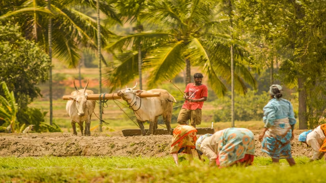 CNBCTV18News's tweet photo. In Maharashtra, Bharat Intelligence is using AI and technology to turn farm data into jobs and strengthen the rural economy. 

The startup is showing how digital tools can bridge the gap between agricultural insights and real-world livelihoods, creating new opportunities for rural communities.

Reports @shraddhatiwari_  |  @azhaanmerchant #AI #TechForGood #RuralEconomy #Maharashtra #Agritech #Innovation 

Read: https://t.co/O2KWGg2O7h