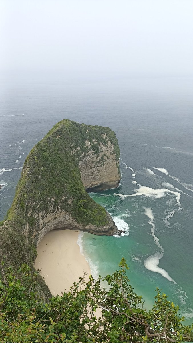 Rare Angon 🇮🇩 tweet media