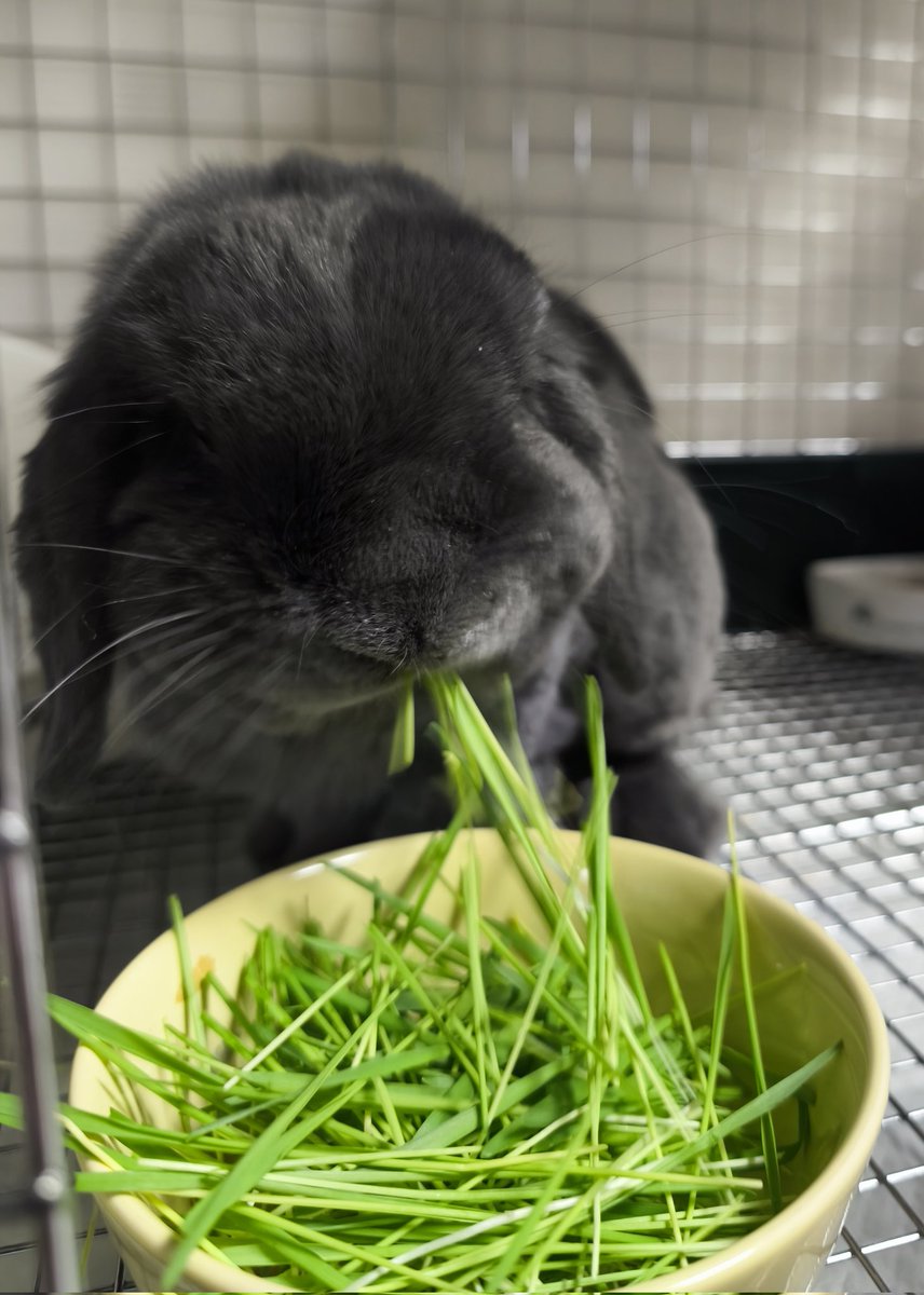 たくさんお食べ〜