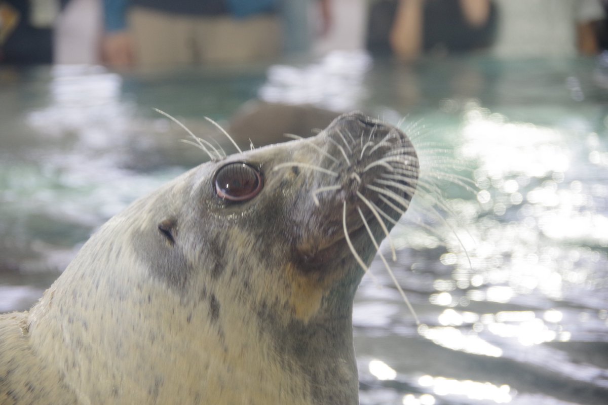 くるみ - Search / X