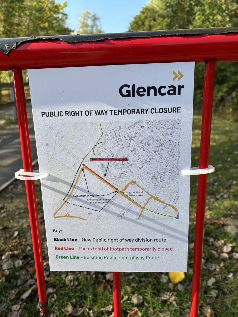 Alison Fure tweet media