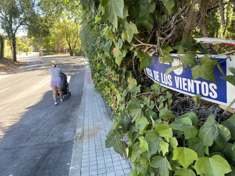 Vecinos por Majadahonda propone una moción para retirar los setos que invaden las aceras dlvr.it/TNdrSx
