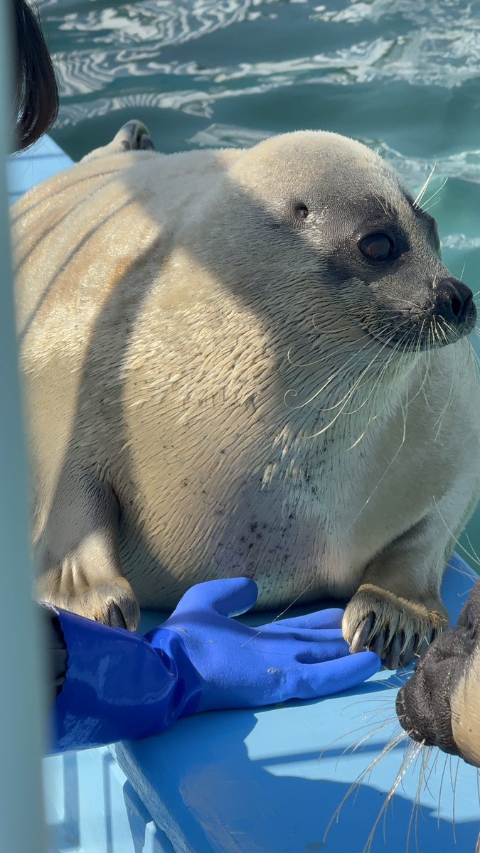 横顔まで美しい🤦‍♂️

#よう
#とっかりセンター