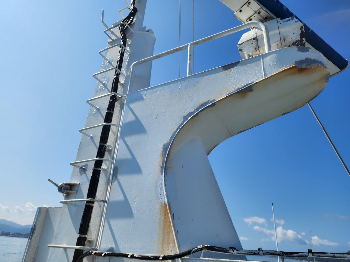 6/20迄30％OFF】ゆず BIGYELL ゆずガチャ 船長＆副船長 6/20