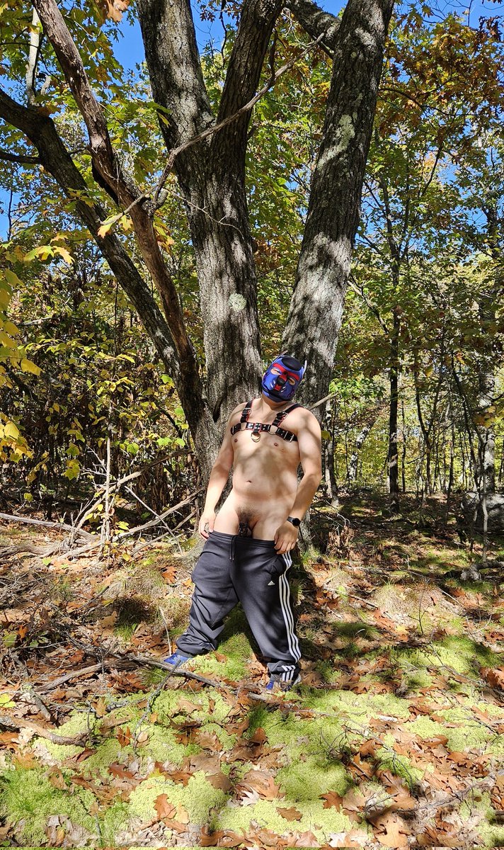 PChris_TO tweet media