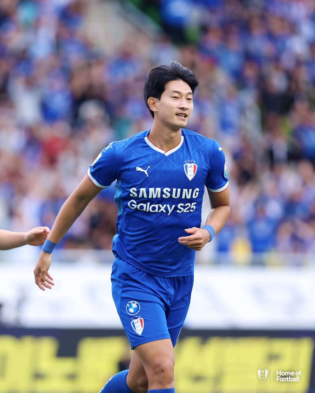 BLUEWINGS Japan on X: 