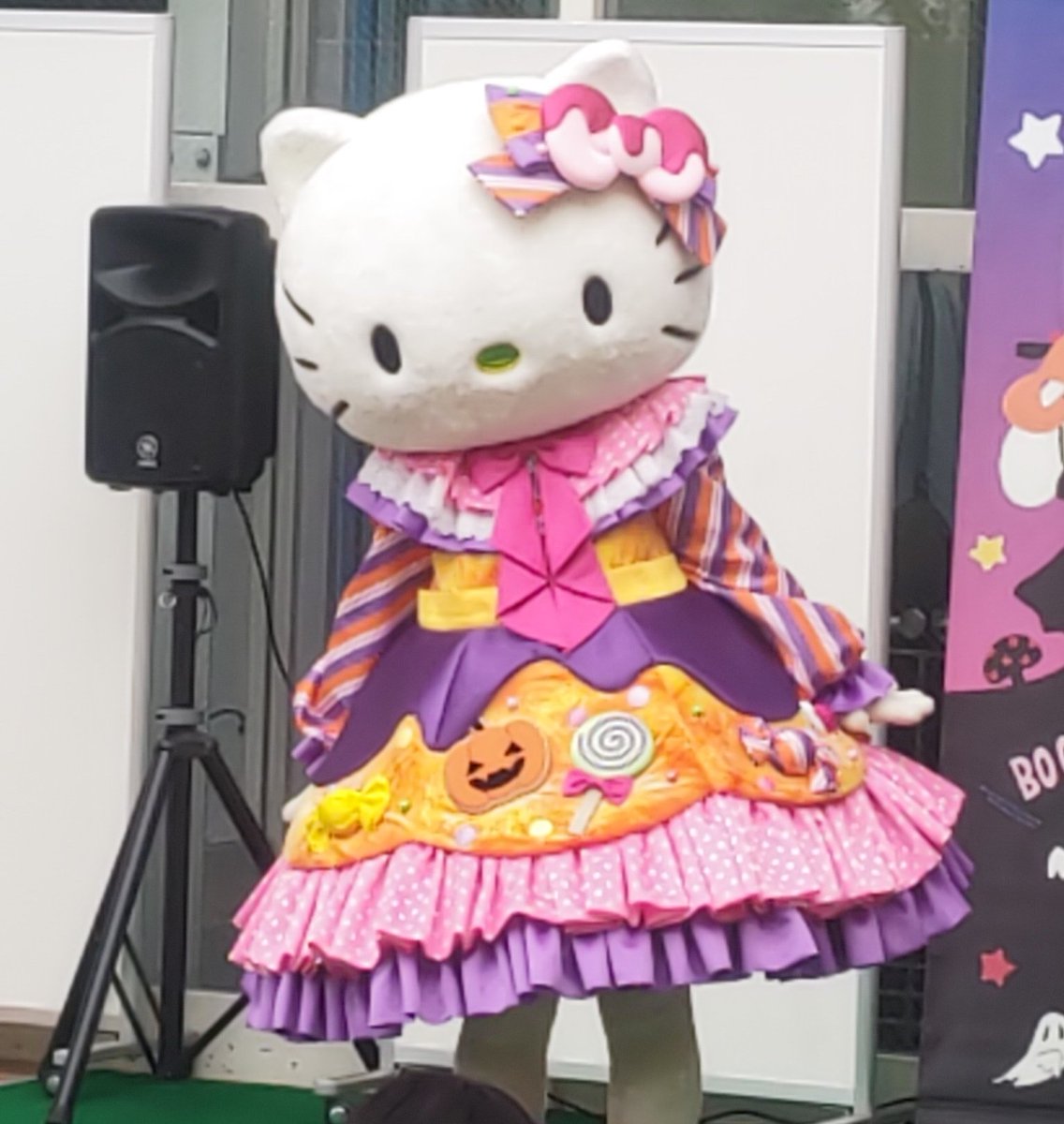 𝕂___𝕒__𝕥𝕪♡ (@ka__t_y__) / X