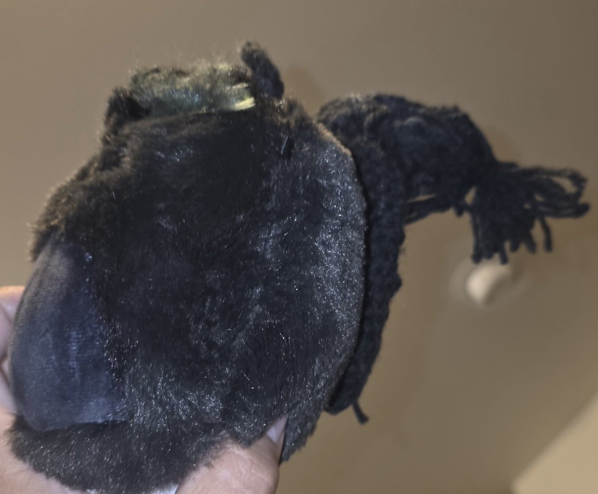 MosiahMccormick's tweet photo. Lucky the Black Squirrel watched for the @Mariners WIN!!!
#GoMariners!!!!!
#TridentsUp 
#SeizeTheMoment!
#onwardAndUPWARD!!!!!
d;-) https://t.co/QQqf457M3d