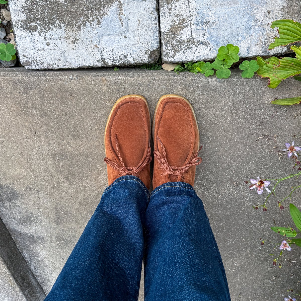 sthkzn's tweet image. Padmore &amp;amp; Barnes

朝のうちに散歩と買い物。
8:00に出た頃はちょうど良い気温でしたが、帰ってきた10:00前はうっすら暑く感じました。

#padmoreandbarnes #slow #shoes #mensshoes #sotd #shoesoftheday #poloralphlauren #パドモアアンドバーンズ #革靴 #今日の足元 #スロウ #ポロラルフローレン