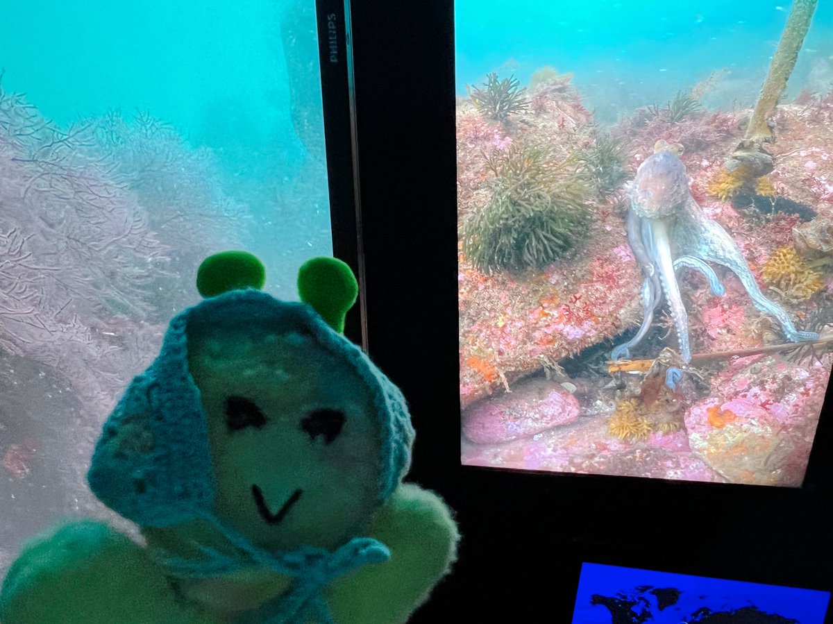 りんこ tweet media