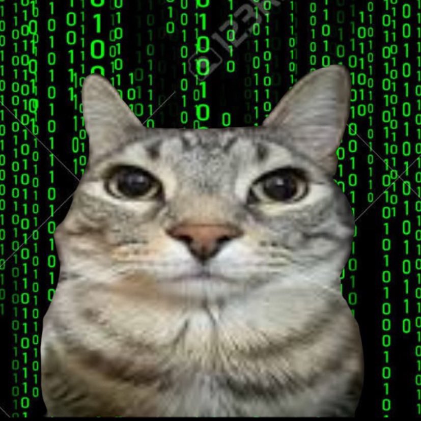 moraltream's tweet photo. ←勉強計画立ててる時

　　　　　実際に勉強する時→ https://t.co/s4asr4gmzN