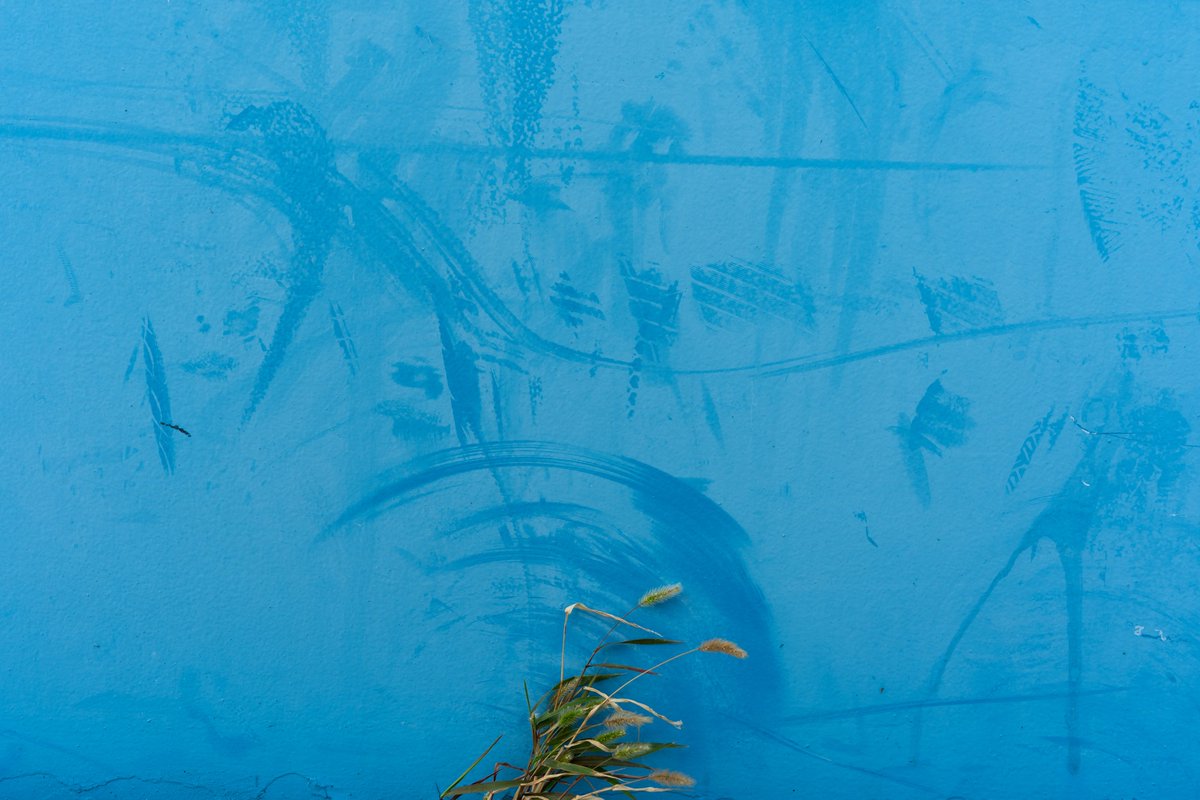 ゆかページ 写真家 加藤ゆか on X