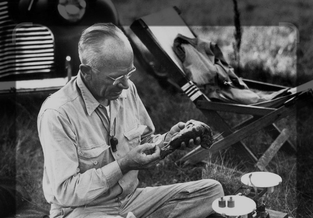 Are you familiar with the writings of Aldo Leopold who died in 1948? He was a naturalist, scientist, ecologist, forester, university professor, conservationist, and environmentalist. He is best known for his book “A Sand County Almanac” (1949). <a href="/AldoLeopoldFdn/">Aldo Leopold Foundation</a>