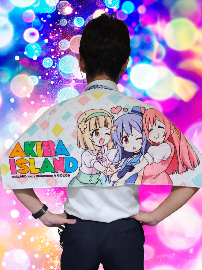 アキバ　アイランド　のりぐるみ　　シマ アキバアイランドのりぐるみシマ