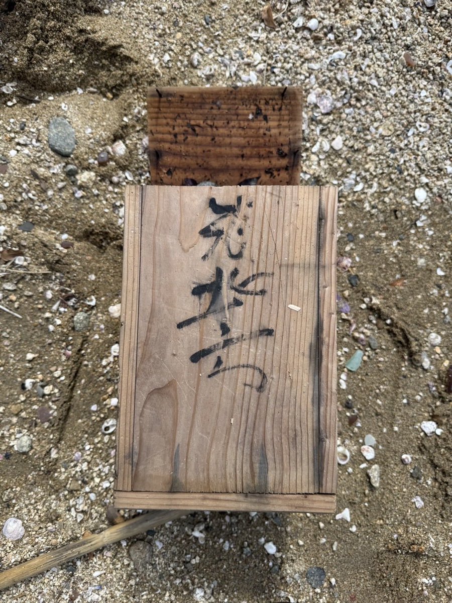 はりーとんとん tweet media