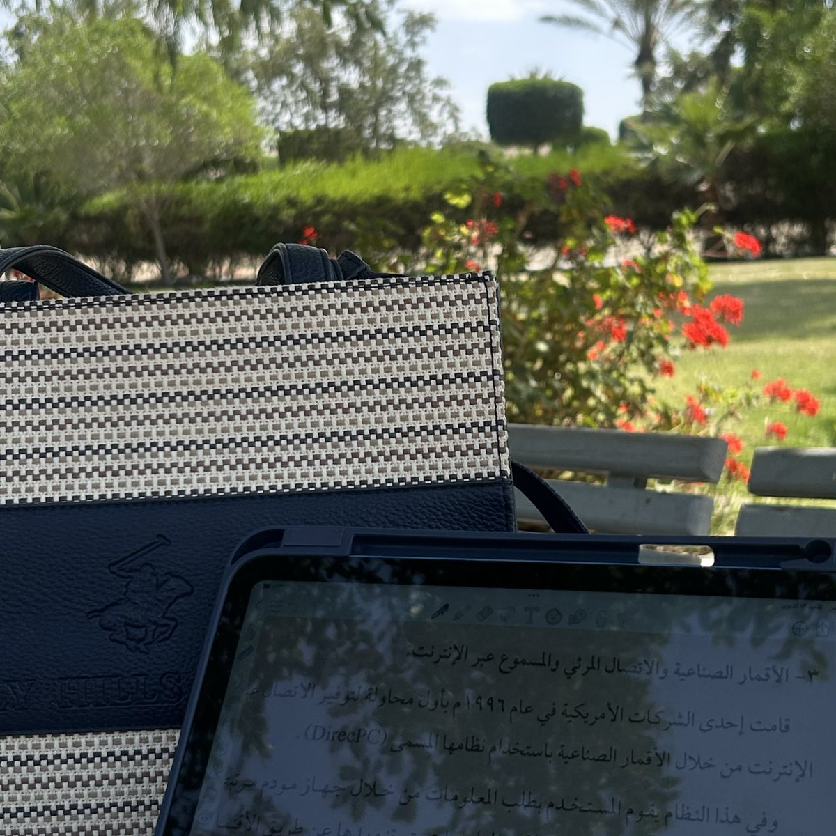 lamaralgd's tweet image. 🌺