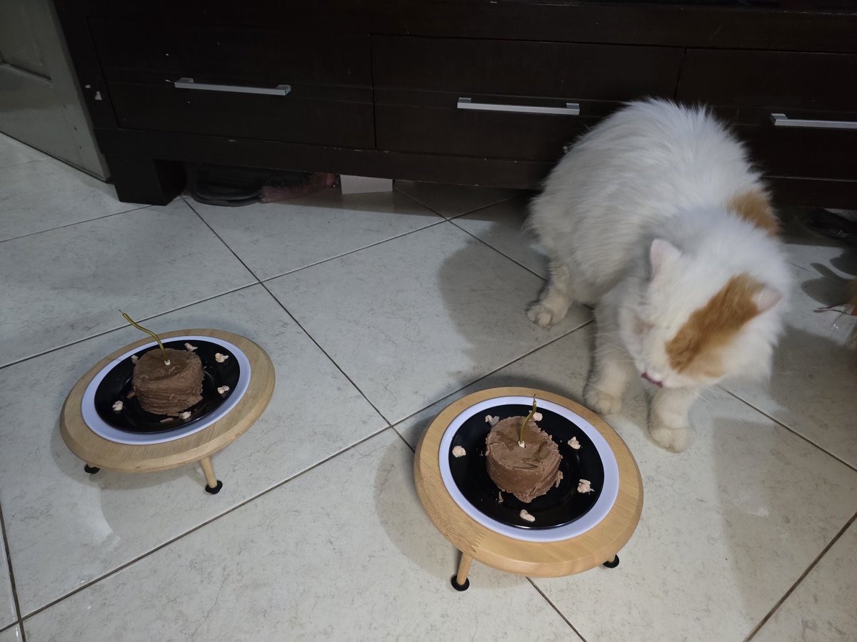 Kemaren ngerayain Happy Adoption Day Ciku

Sushi keburu kabur pas mau foto ekwk