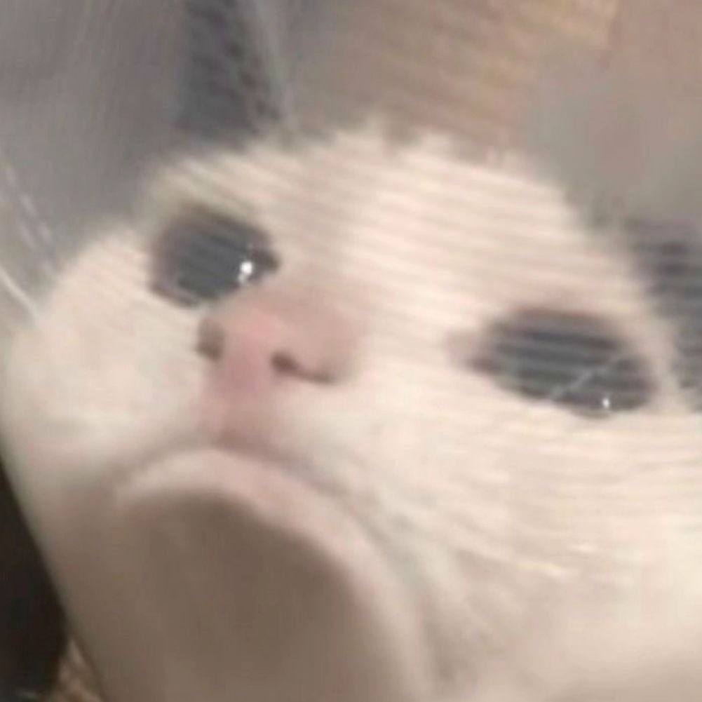 ปวดหลังจนนอนไม่หลับเลยค่ะ ยังไม่ได้นอนเลย ปวดมาก ฮื่อออ หนูไม่อยากเทค opioid