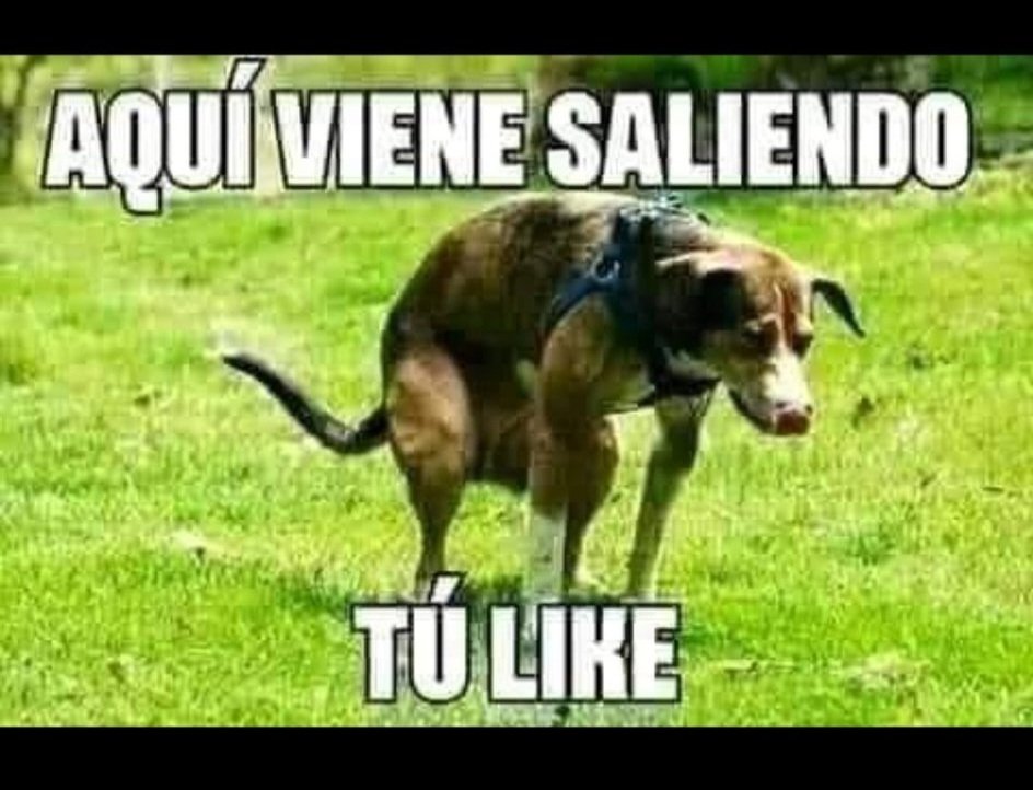 AlexDeLarge40's tweet photo. @JaraNosUneBuin https://t.co/zkEDiftrHv
