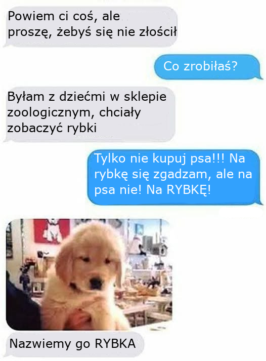 Piotr Zarzeczański (jego otyłość/jego otyłości) (@redaktorbs) on Twitter photo 