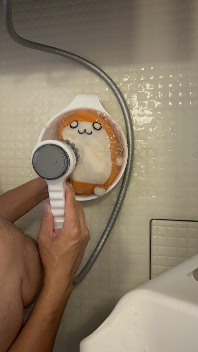 はむちゃん (@hamuhamu0317) / Posts / X