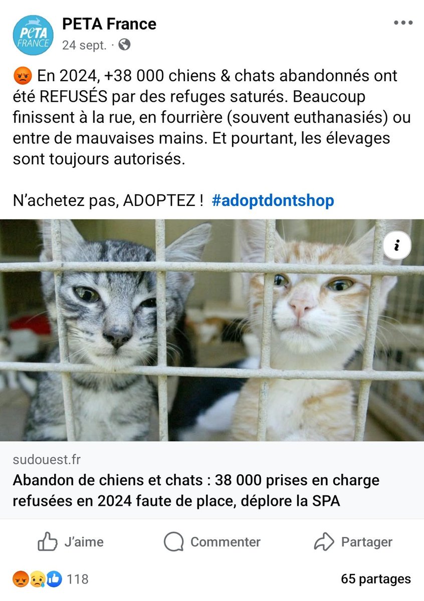 RVHunter57's tweet image. L'association #PETA ... reconnue comme adepte #vegan de l'#euthanasie 🤷♂️
De l'#antispécisme à l'#eugénisme ... il n'y a qu'une seringue ☝️
Si tu es #végétarien, #végé ... attention à toi ... tu es le prochain sur la liste 😅
L'#animalisme est vraiment un problème mortel ☝️