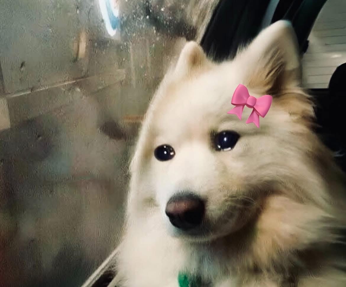 When he won’t let me stack donuts on it.