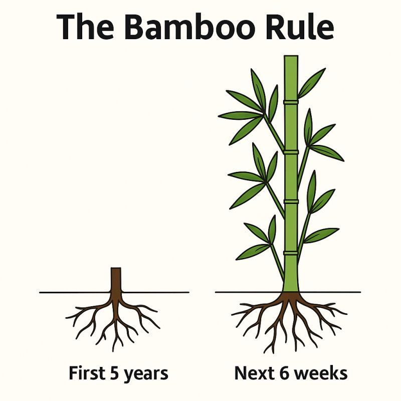 Have you heard of the Bamboo Rule? 🤔

For the first 5 years, a bamboo plant doesn’t grow above ground.

No visible progress. Nothing anyone can see.

It’s building roots... foundations that can support explosive growth.

Suddenly, in just 6 weeks, it shoots up over 20m tall.
