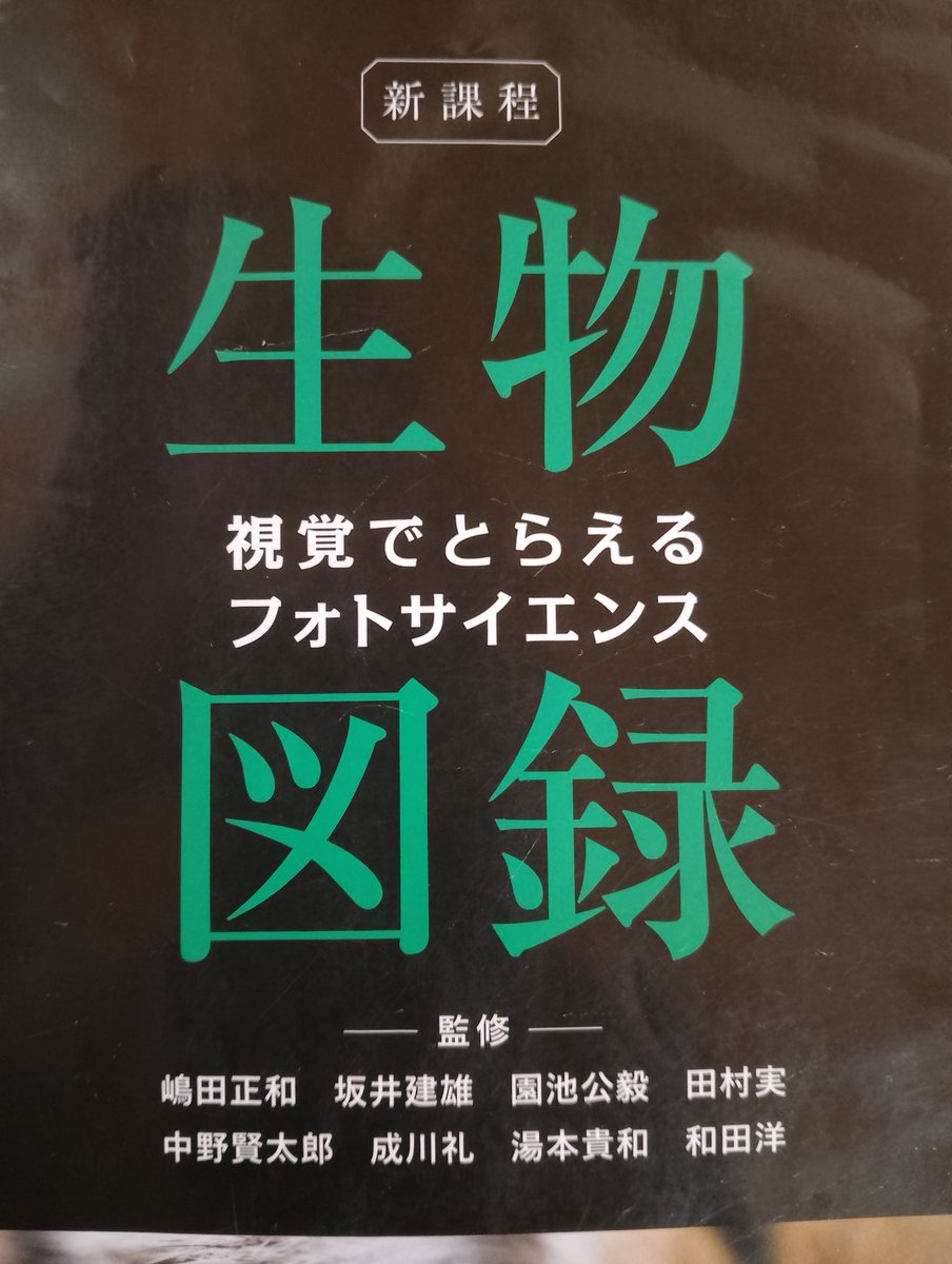 監修の名前見てびっくりした