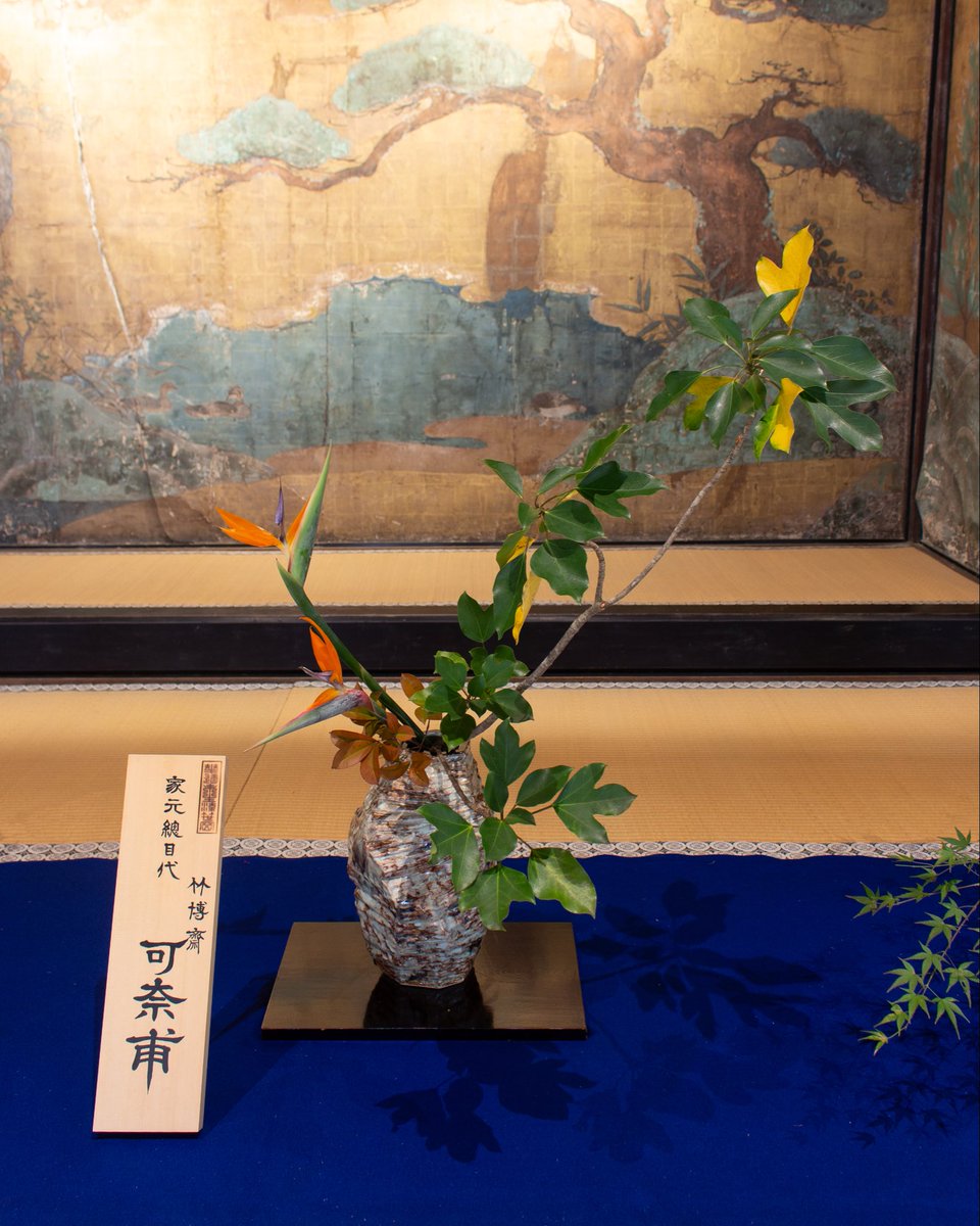 桔梗 (@k_kikyo) / Posts / X