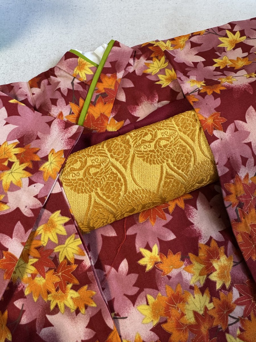 羅紗MSD.SDM.MDD 紅葉柄振袖着物袴セット