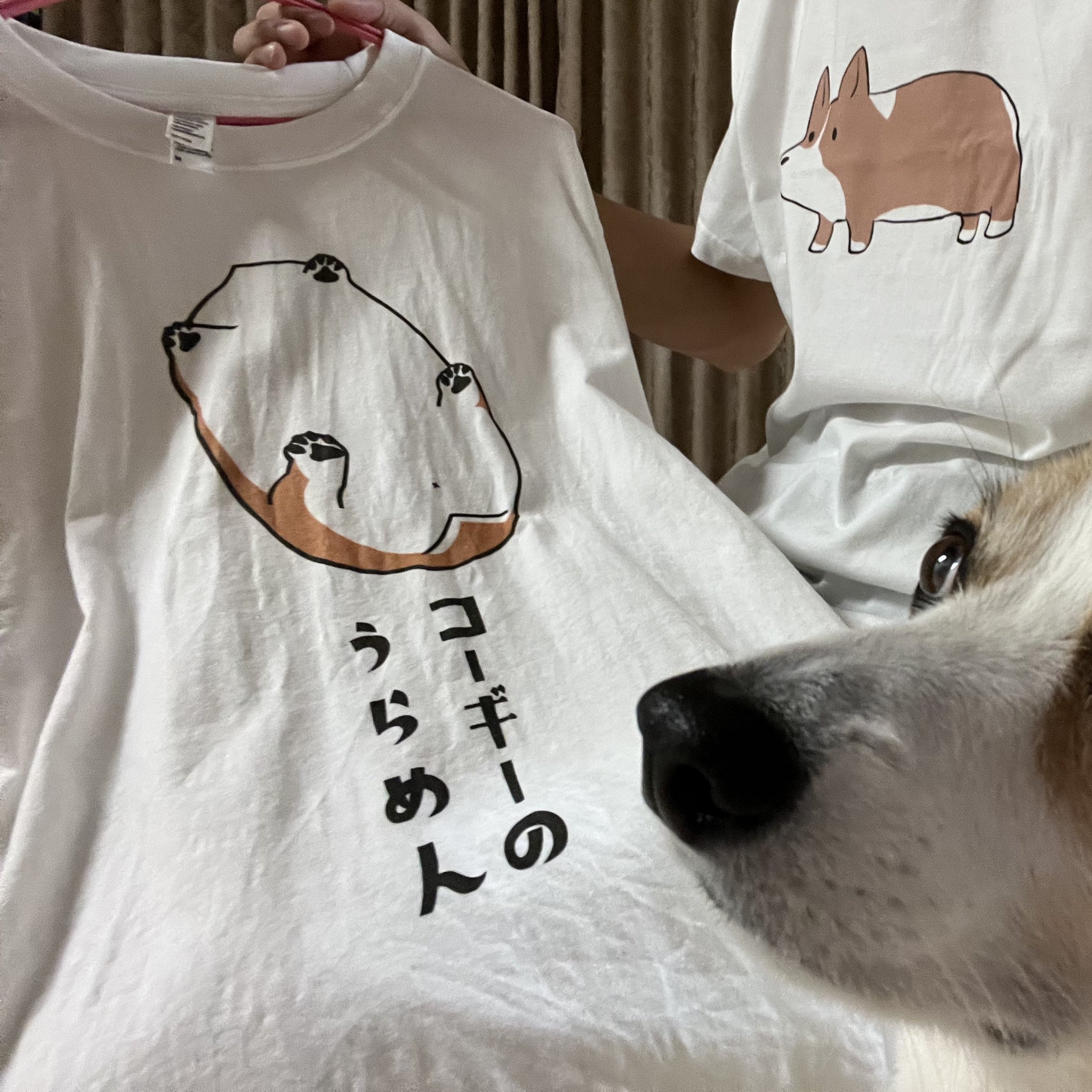 まき巻(⁎⁍̴̆Ɛ⁍̴̆⁎)ページ まき (@makiIO) / X