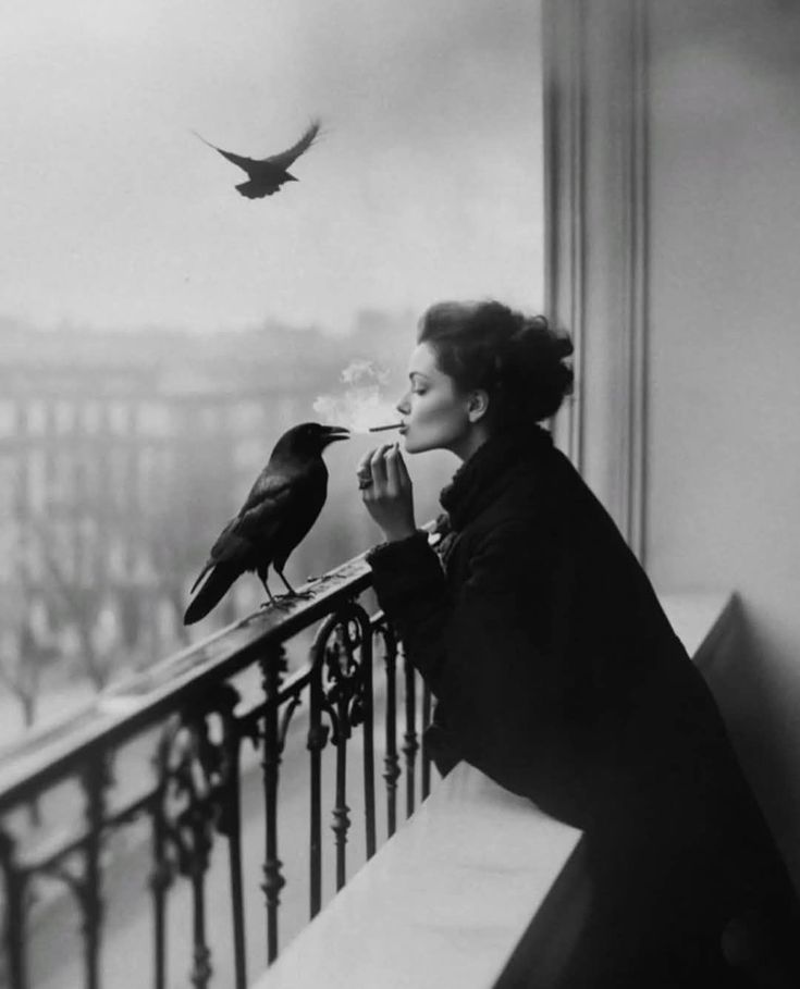 Günaydın kargalarla güne uyananlar 🤗🌞
İyi haftalar.. 🐞☕🙋‍♀️